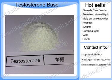 CAS 58-22-0 Testosterone Base Powder