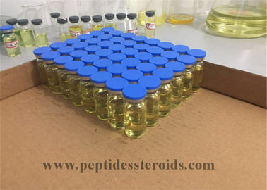 Testosteron Propionat 100 injizierbare anabole Steroide CAS 57-85-2