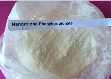 Weißes Pulver Nandrolone-Steroid/Durabolin-Nandrolone Phenylpropionate CAS 62-90-8