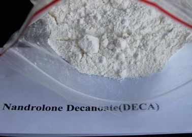 Weißes Steroid Pulver CASs 7207-92-3 Deca Durabolin, Nandrolone Decanoate-Pulver SGS genehmigt