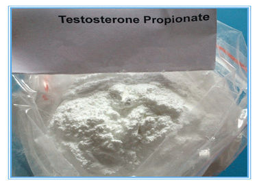 Test Testosteron-Pulver CASs 57-85-2 Propinoate-Einspritzungs-Steroid