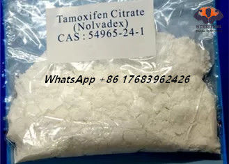 Tamoxifen-Zitrat-Östrogen-Blocker-Steroid-weißes kristallines Pulver CASs 54965-24-1 Nolvadex