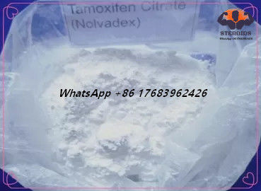 Weißes Pulver-zitrieren Antiöstrogen-Steroide Tamoxifen CAS 54965-24-1 Nolvadex CAS 54965-24-1